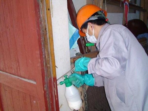 白蚁防治6.jpg